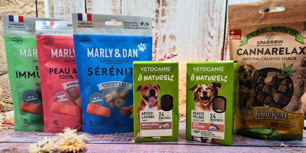 Friandises Saines Pour Chien Maison