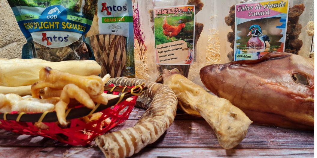 Assortiment de friandises naturelles pour chien présenté sur un fond en bois vieilli