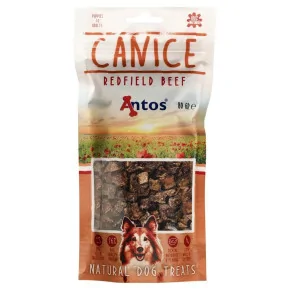 Canice Boeuf 80 gr - Mini friandise pour le dressage et l'éducation du chien