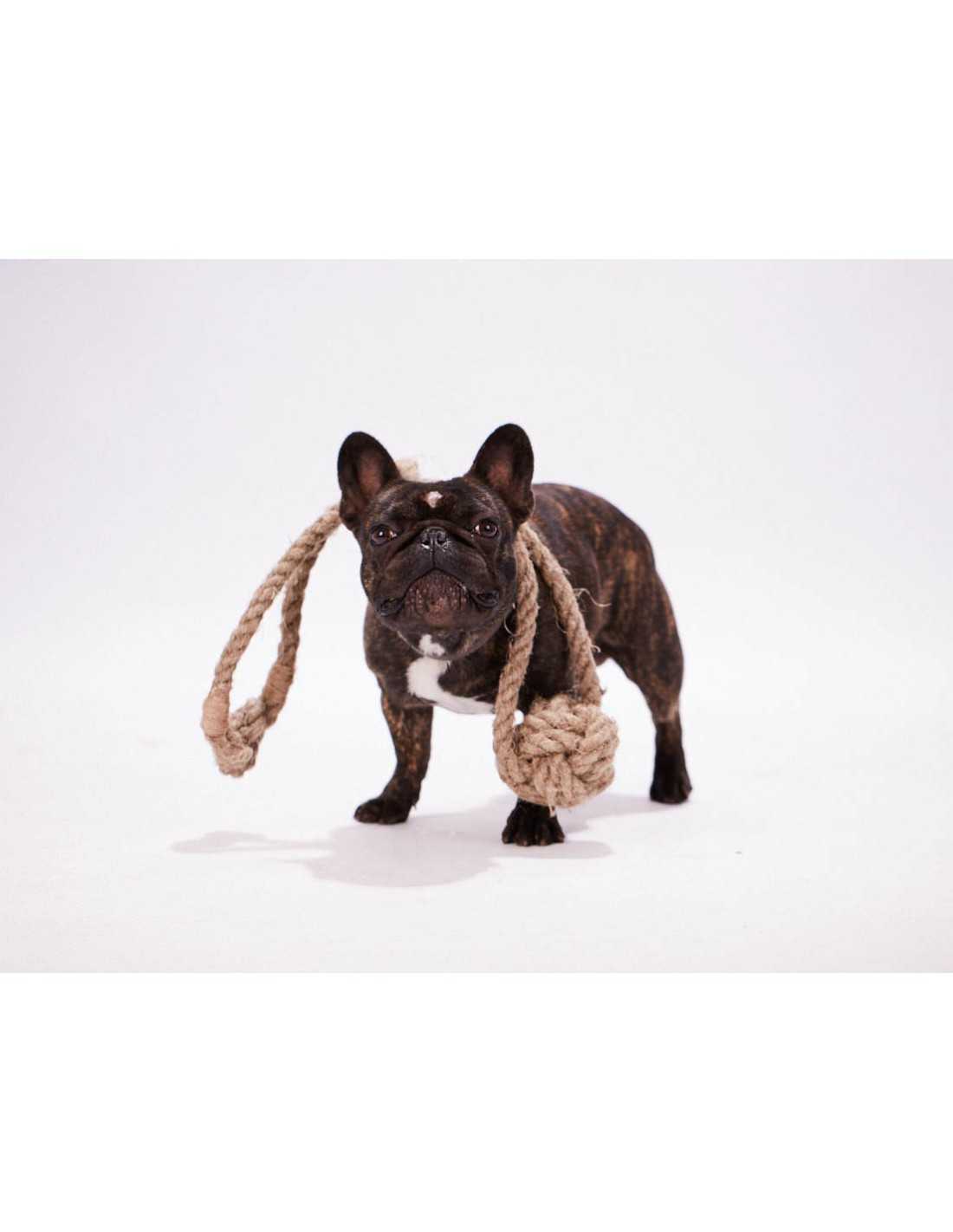 Lapin en corde de chanvre biologique - Jouet pour chien - Kymaya