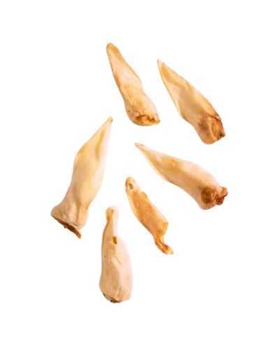 Oreille d'Agneau : Une friandise de mastication idéale pour le chiot