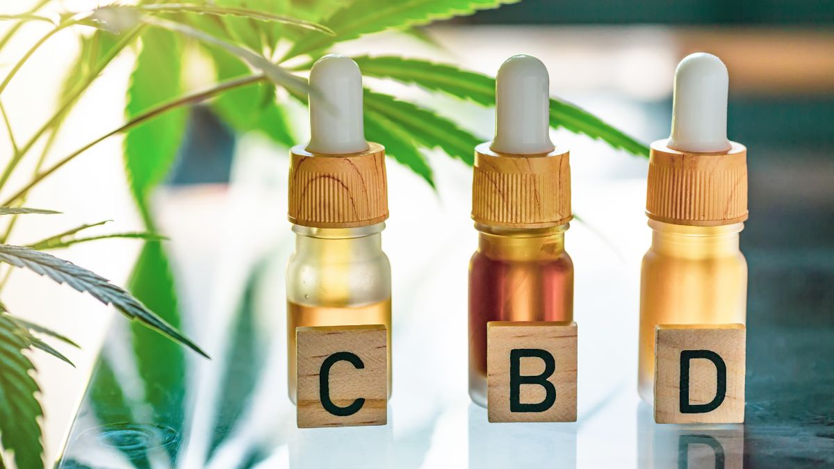 CBD pour animaux : que pourrait-il changer en 2026 ?