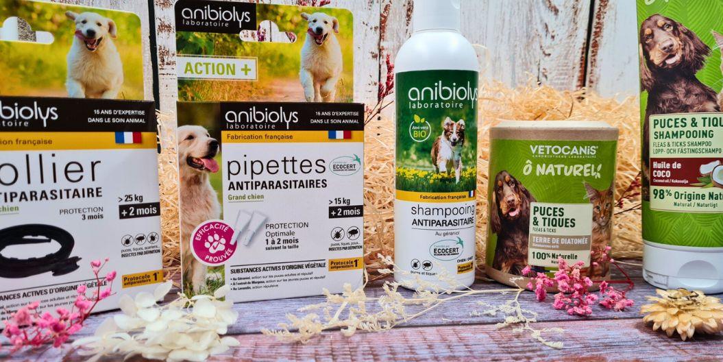 Antipasitaire naturels pour chien