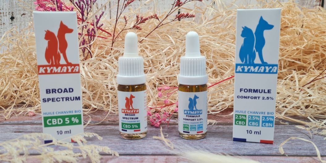 CBD pour chat Kymaya®