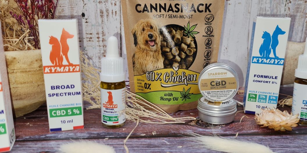 CBD pour Chien : La solution bien-être - Kymaya