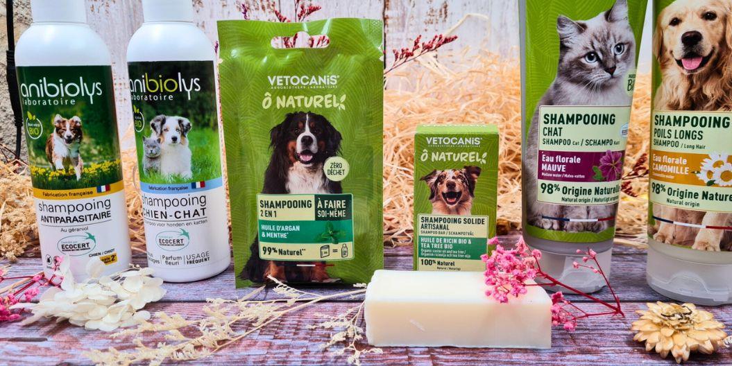 Shampoing naturel pour chien