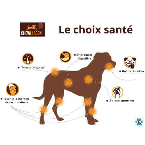 Quakité du collagène pour chien Chewllagen