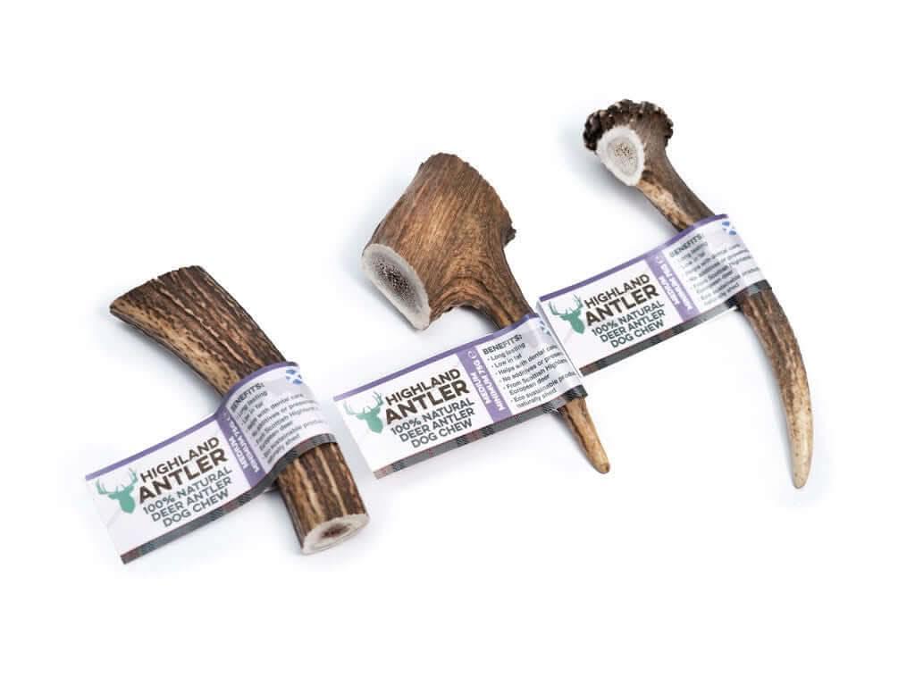 Bois de cerf entier pour chien, solution naturelle pour occuper et renforcer les dents.