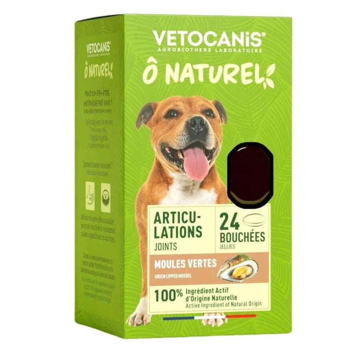 Bouchées naturelles aux moules vertes pour les articulations du chien