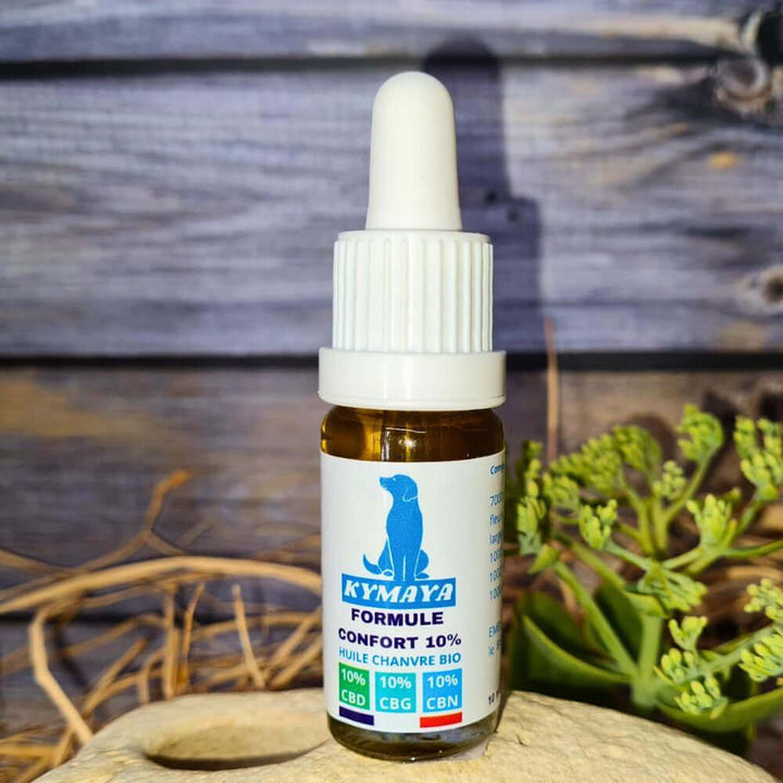 Flacon 10 ml de CBD CBN CBG Formule confort pour chien et chat