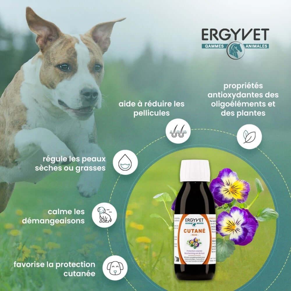 Illustration des bienfaits d'Ergyvet Cutané sur la peau et le pelage des animaux