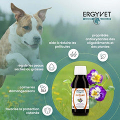 Illustration des bienfaits d&