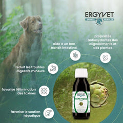 Illustration des bienfaits d&