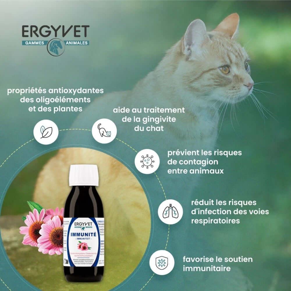 Chiot et chaton en bonne santé grâce aux bienfaits d'Ergyvet Immunité