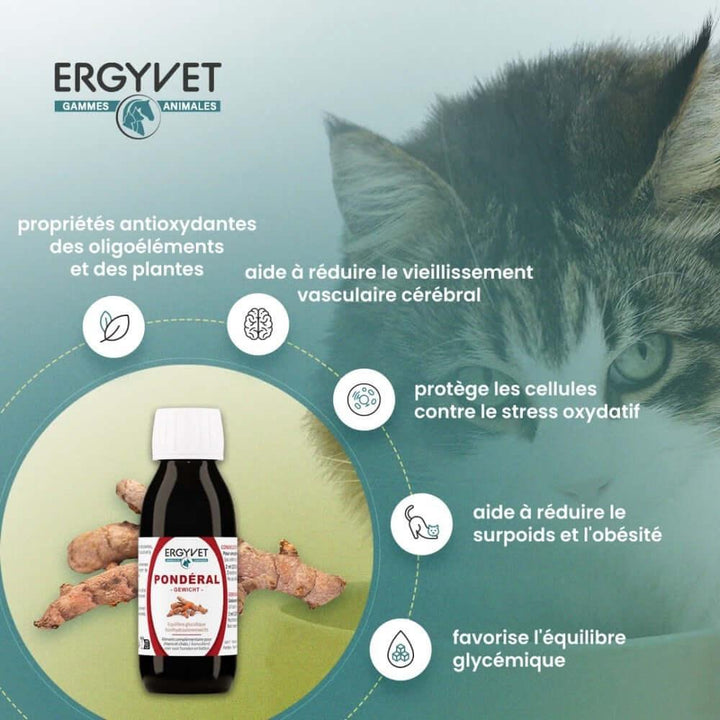 Chien et chat en pleine forme illustrant les bénéfices d'Ergyvet Pondéral pour leur santé