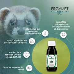 Schéma illustratif des bienfaits d&