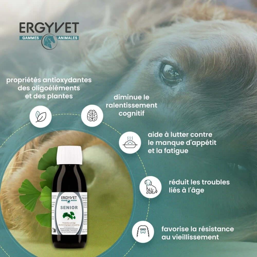 Graphique illustrant les bienfaits d'Ergyvet Senior sur la vitalité et la longévité des animaux seniors