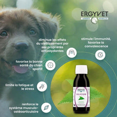 Graphique illustrant les bienfaits d&