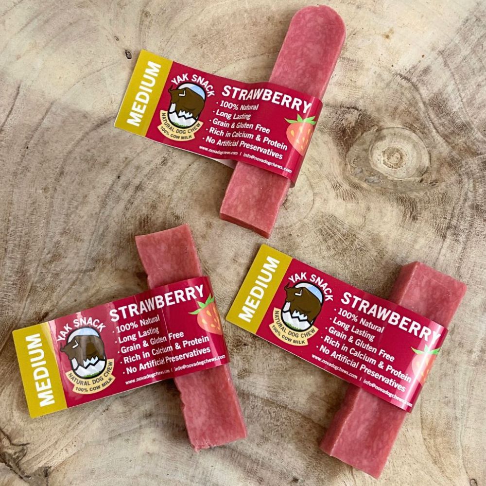 Fromage de Yak Artisanal – Friandise Naturelle pour Chien