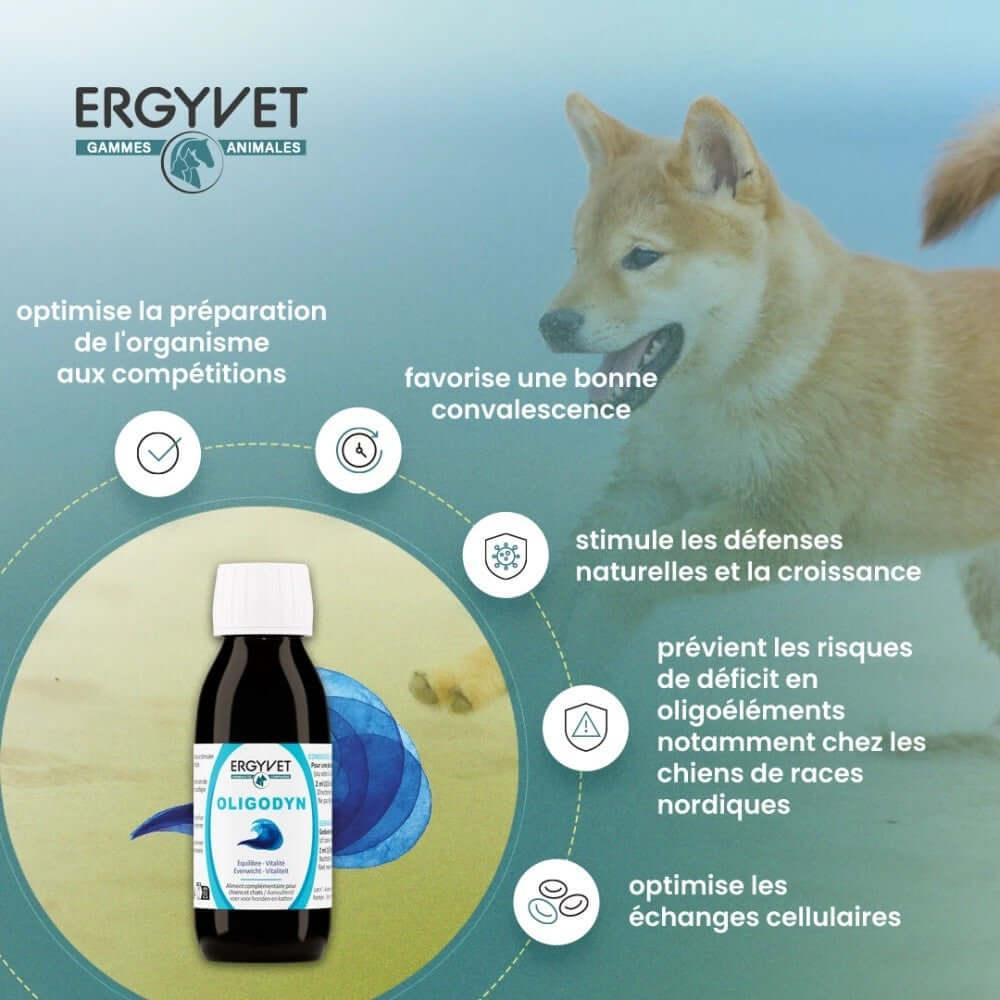 Illustration des bienfaits d'Oligodyn pour la vitalité et convalescence des chiens et chats