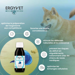 Illustration des bienfaits d&