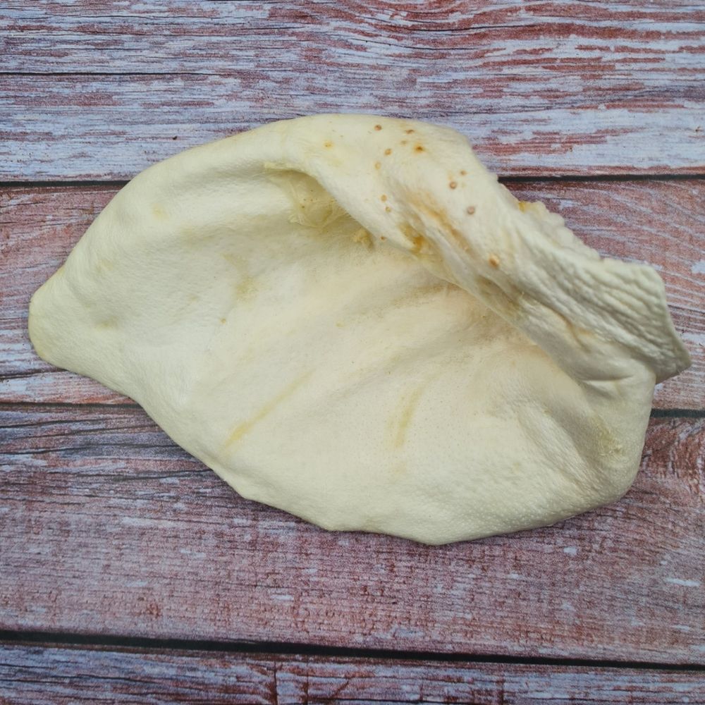 Oreille de cochon  soufflée XXL à mâcher pour chien