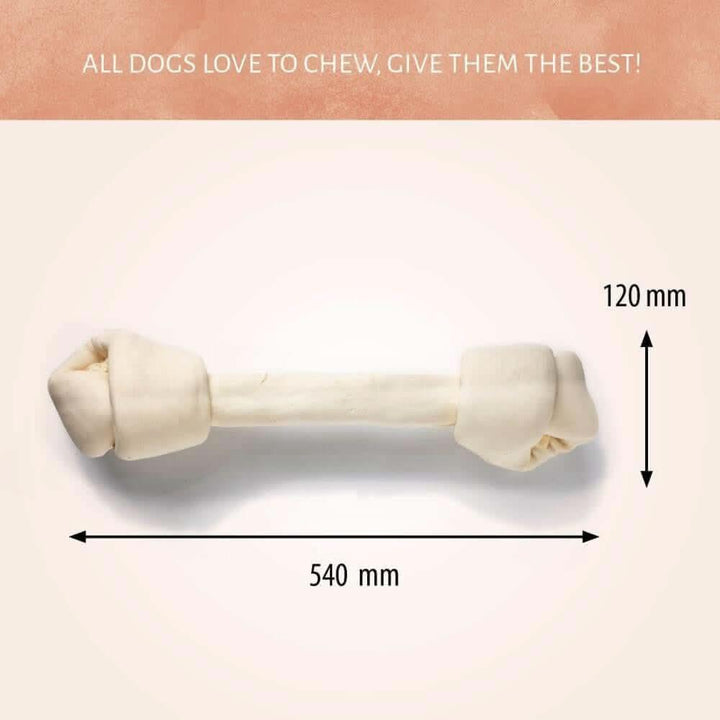 Taille des Os à mâcher "Dental Bone" 21cm - Antos