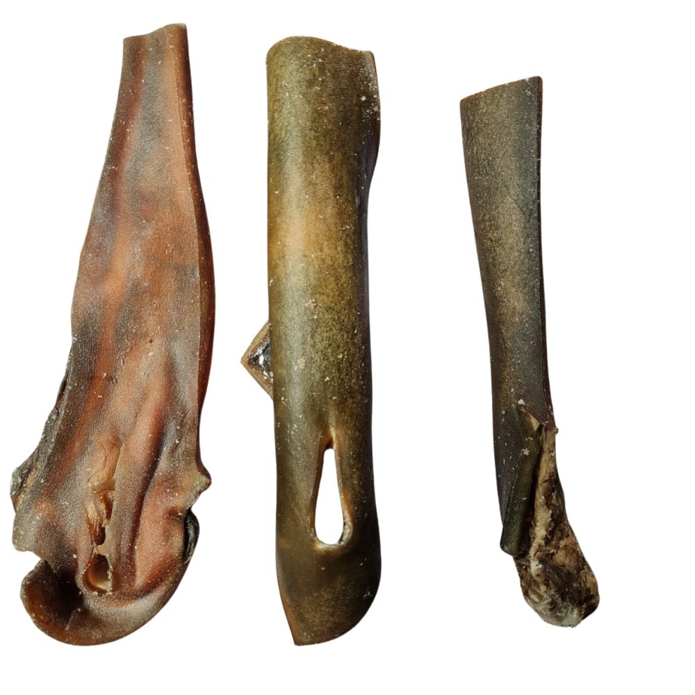Morceaux de peau de chameau à mâcher pour chien