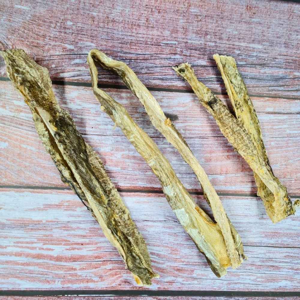 Peau de morue pour chien – friandise naturelle à mâcher