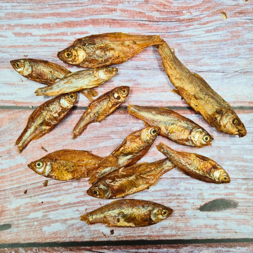 Petits poissons spats pour chen