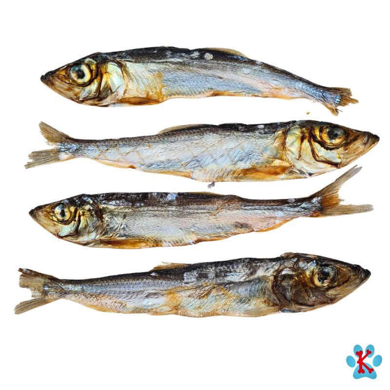 Grands sprats séchés pour chien riche en oméga 3