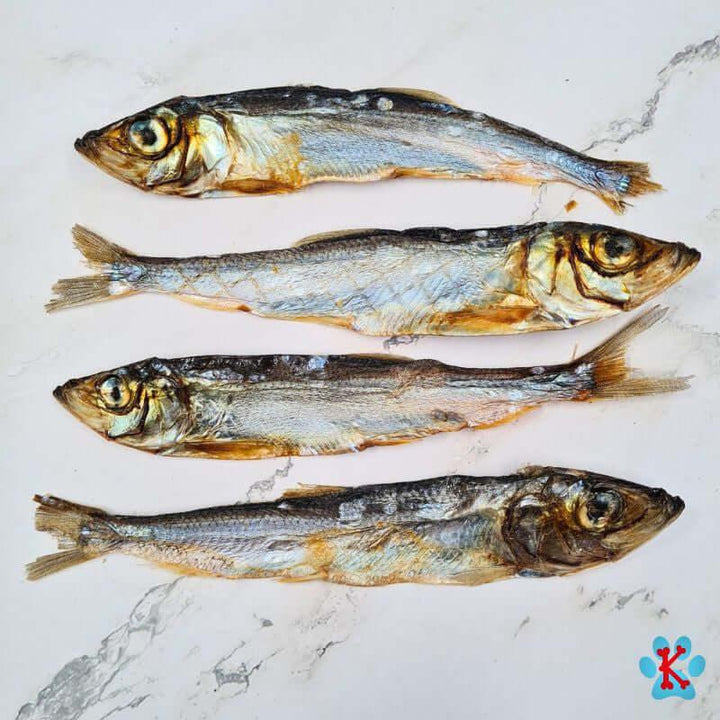 Présentation des grands sprats séchés pour chien - Kymaya®