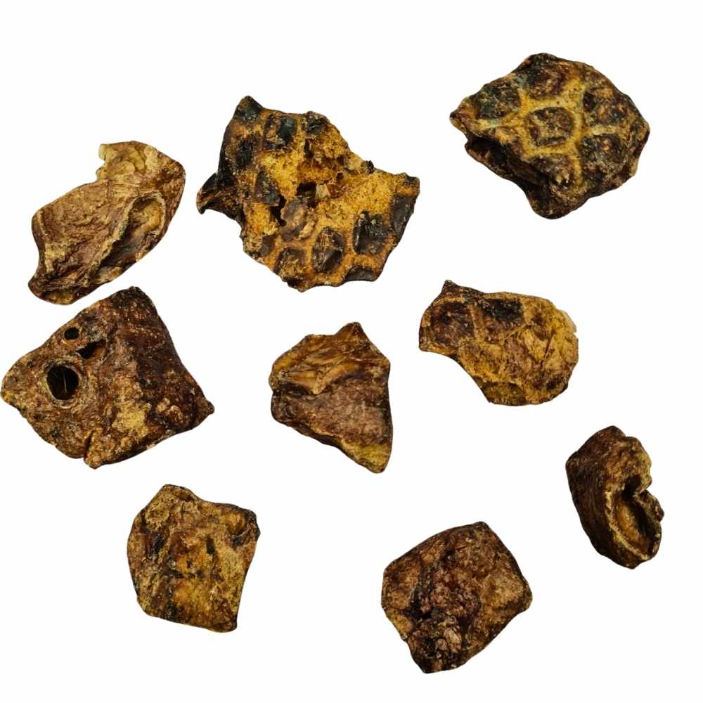 Cubes de poumon d’agneau pour chien – récompense légère