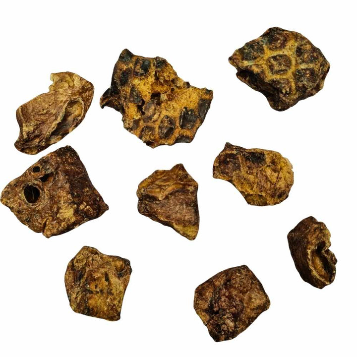 Cubes de poumon d’agneau pour chien – récompense légère