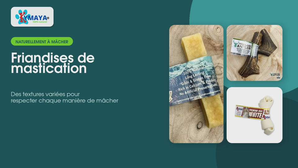Friandises de mastication naturelles pour chien en vidéo – vidéo Kymaya