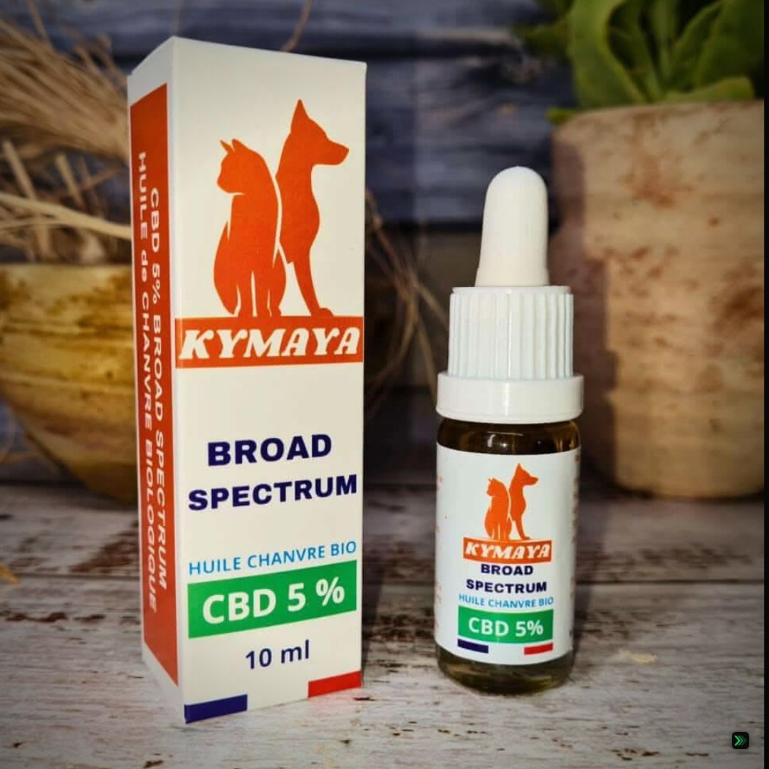 CBD pour chien - Huile Broad Spectrum – Clean Showcase