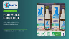 CBD CBN &amp; CBG - Formule Confort