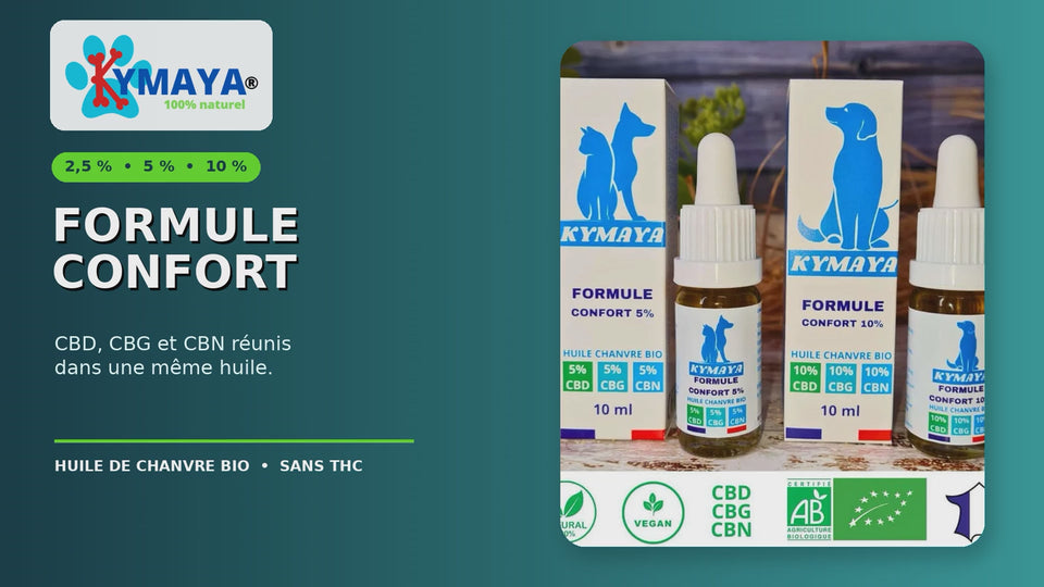 Formule Confort CBD, CBG et CBN pour chien en vidéo – vidéo Kymaya