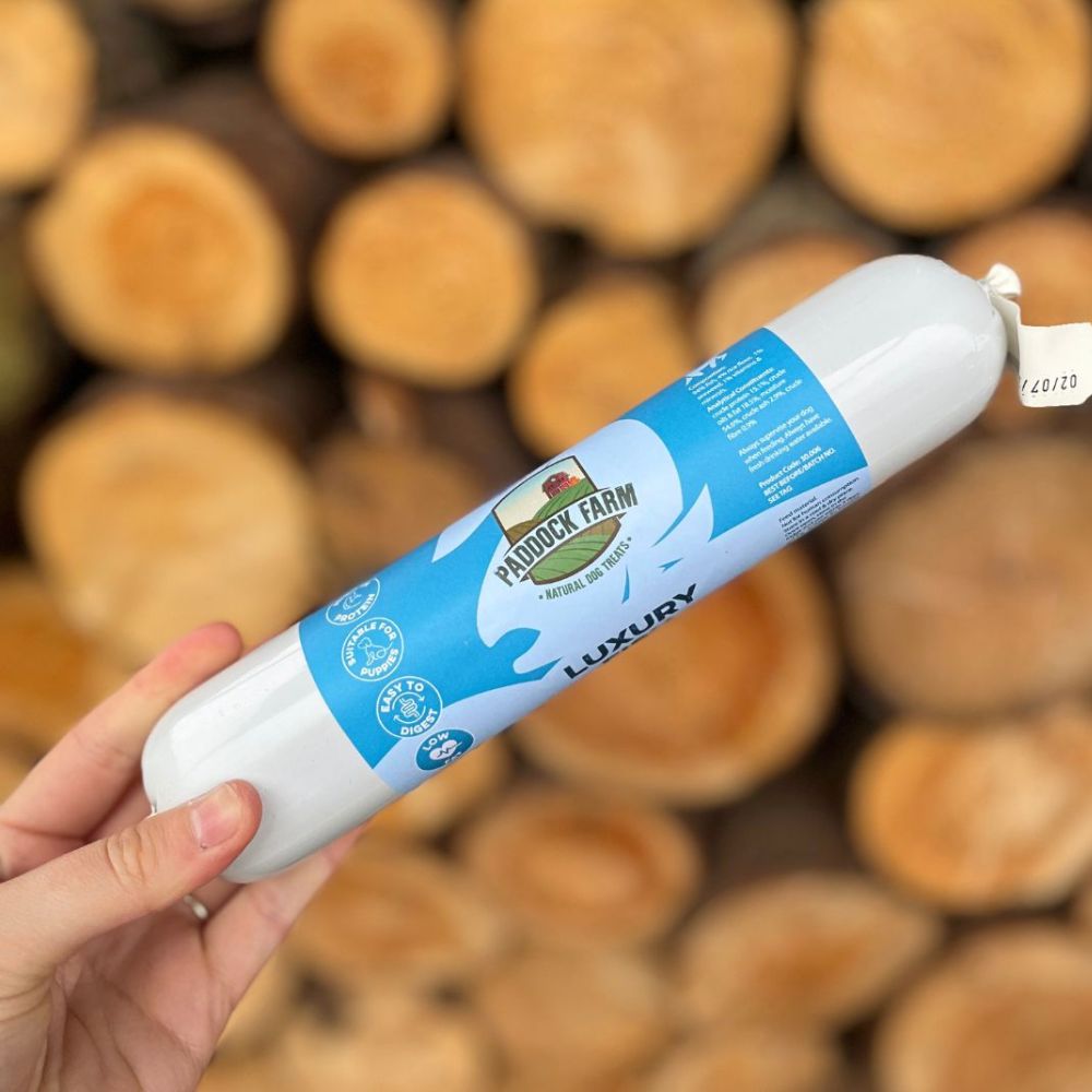 Friandise naturelle au poisson pour chien présentée sur bois rustique