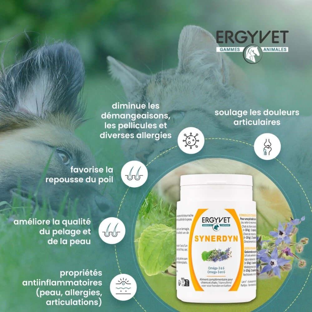 Présentation des capsules de Synerdyn, complément alimentaire Oméga 3 & 6 pour chiens et chats