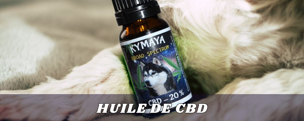 Flacon d'huile de CBD 20% Brod Spectrum de la marque kymaya® dans les pattes d'un chien