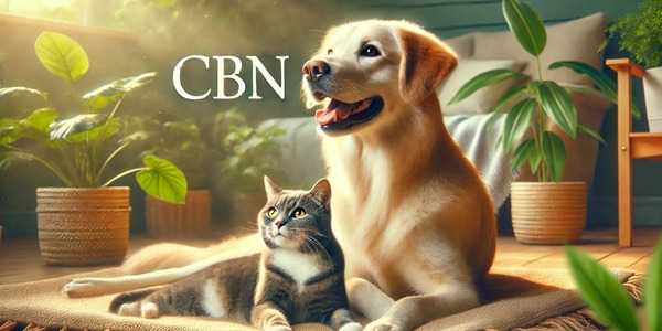 Tout ce que vous devez savoir sur le CBN pour chien et chat : Bienfaits, utilisations et conseils